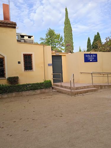 Centro De Día Cuidiscap