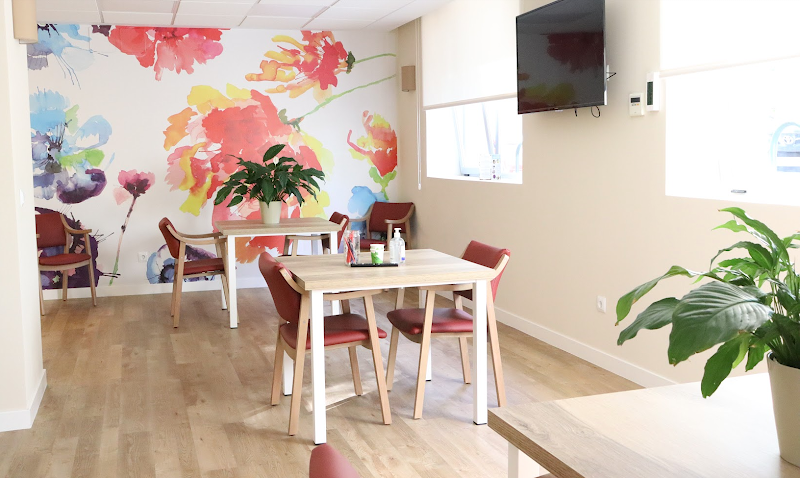 Neurovida Hermosilla, La Evolución De Los Centros De Día Madrid