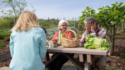 Grupo de personas mayores disfrutando de una comida al aire libre en comunidad