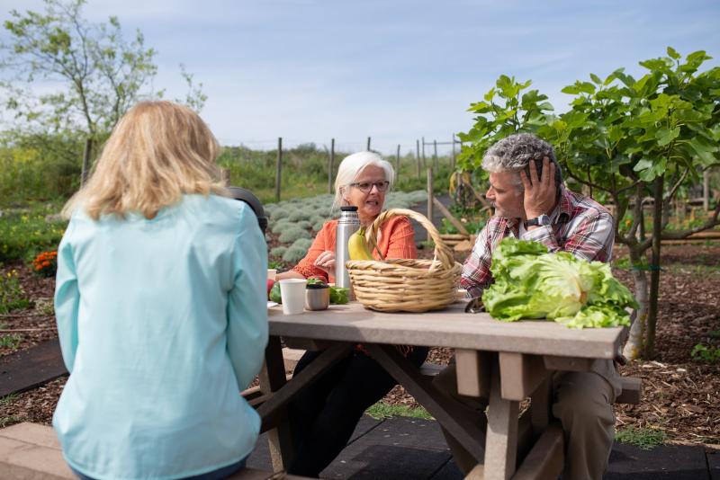 Grupo de personas mayores disfrutando de una comida al aire libre en comunidad
