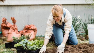Mujer mayor plantando en el jardín con guantes de protección