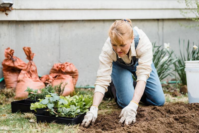 Mujer mayor plantando en el jardín con guantes de protección