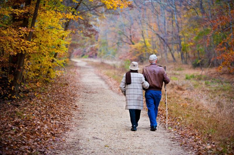 Pareja mayor caminando abrazados por un bosque en otoño