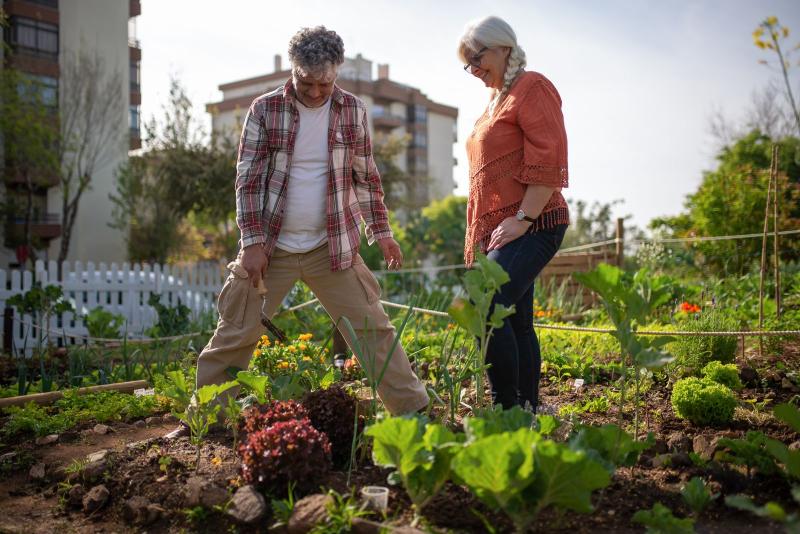 Pareja mayor cuidando un huerto comunitario